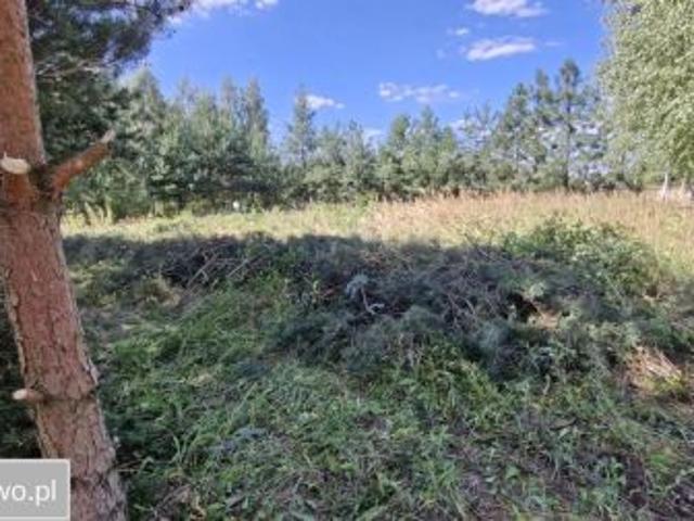 Bezpośrednio, Długie, 803 m² Działka