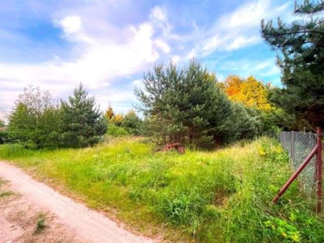 Bezpośrednio, Dąb Polski, 1000 m² Działka