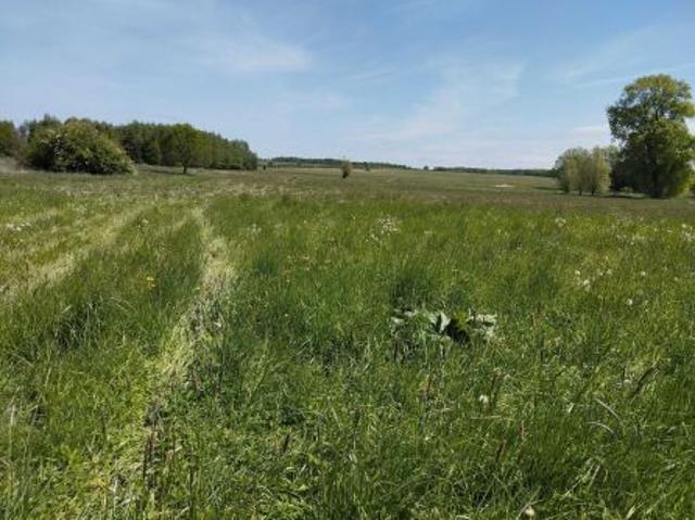 Bezpośrednio, Dębice, 1200 m² Działka