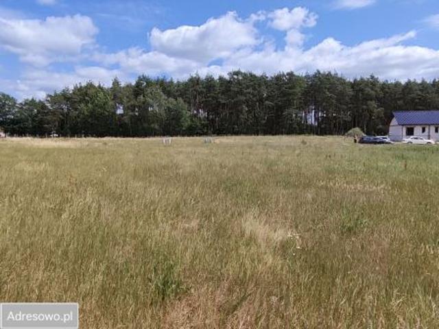 Bezpośrednio, Dąbie, 1205 m² Działka