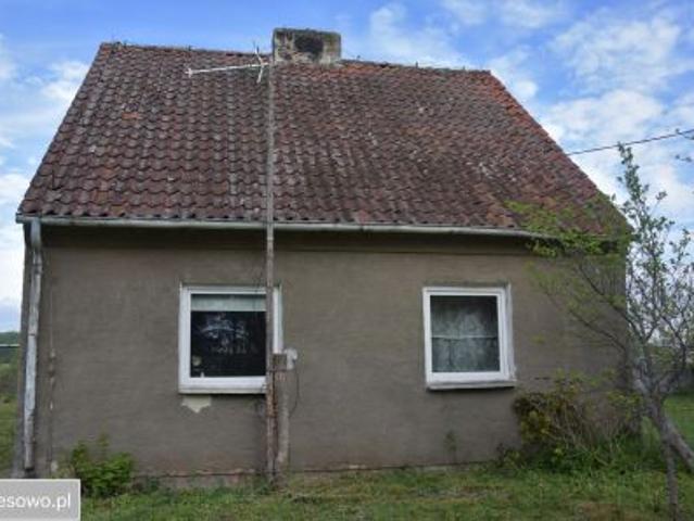 Bezpośrednio, Dąbie, 90 m² Dom