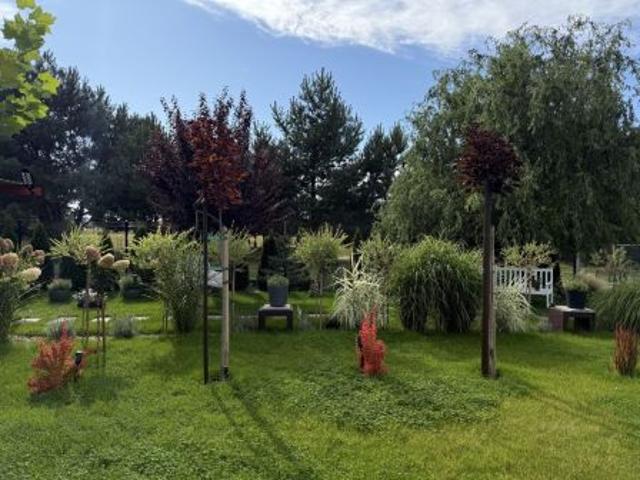 Bezpośrednio, Dąbie, 960 m² Działka