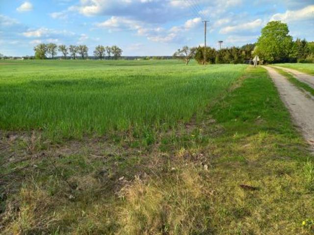 Bezpośrednio, Dębowiec, 2000 m² Działka