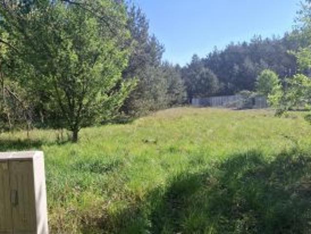 Bezpośrednio, Dębska Kuźnia, ul. Kolonia, 750 m² Działka