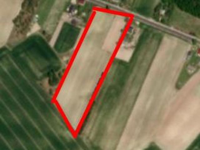 Bezpośrednio, Dąbrowa, 1000 m² Działka