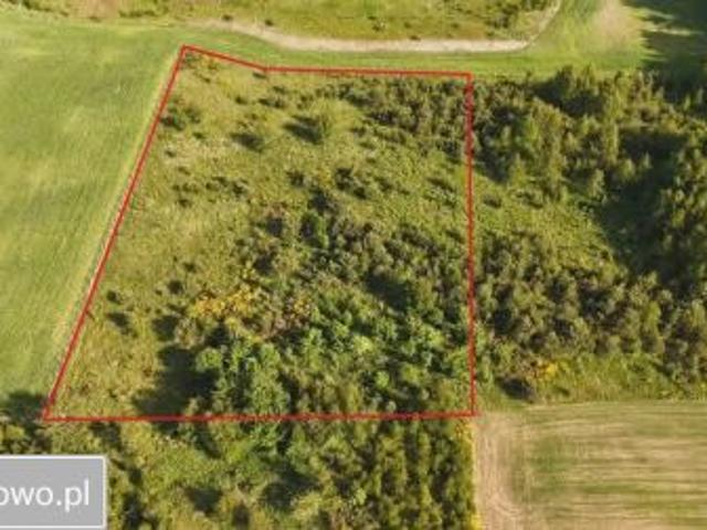 Bezpośrednio, Dąbrowa, 11044 m² Działka