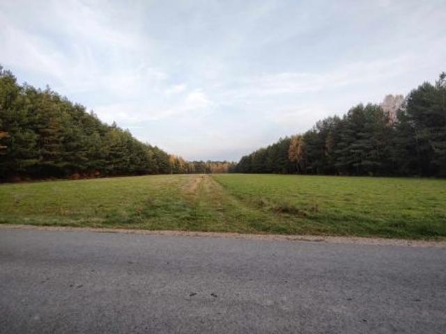 Bezpośrednio, Dąbrowa, 18552 m² Działka