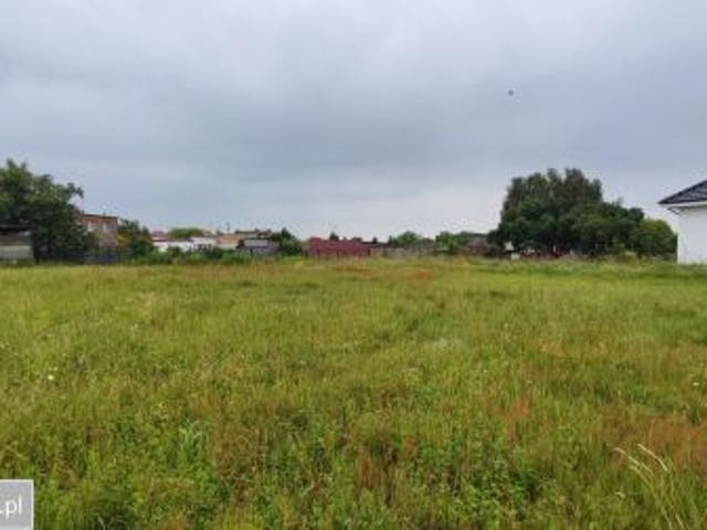 Bezpośrednio, Dąbrowa, ul. Graniczna, 1400 m² Działka