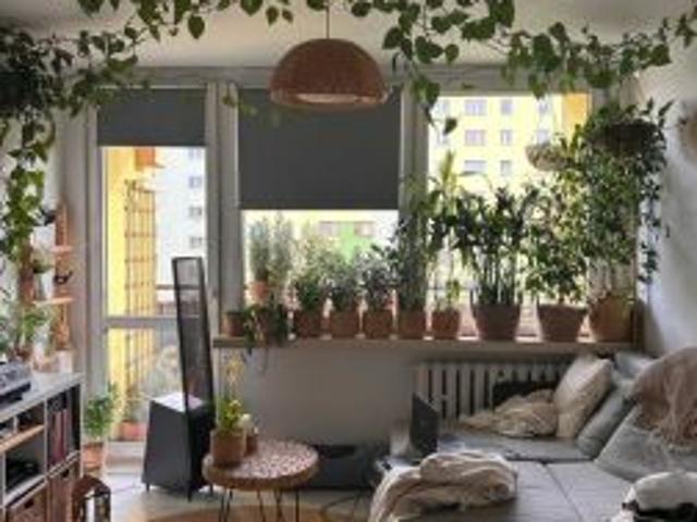 Bezpośrednio, Dąbrowa Górnicza, Mydlice, ul. Legionów Polskich, 37 m² Mieszkanie