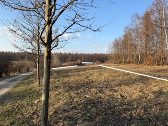 Bezpośrednio, Dąbrowa Górnicza, Łosień, ul. Zagrabie, 10400 m² Działka