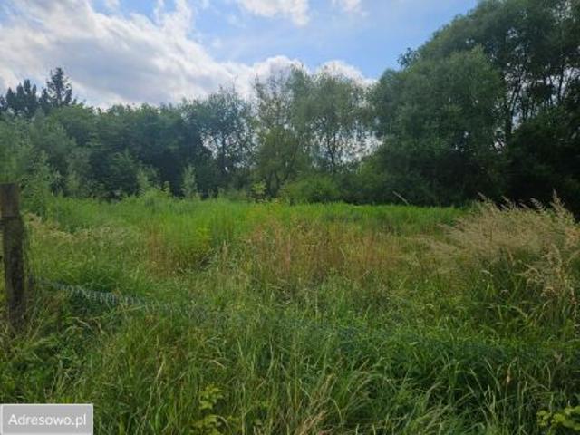 Bezpośrednio, Dąbrowa Górnicza, Pogoria, ul. Parkowa, 808 m² Działka