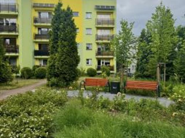 Bezpośrednio, Dąbrowa Górnicza, Reden, ul. Zygmunta Cieplaka, 63 m² Mieszkanie