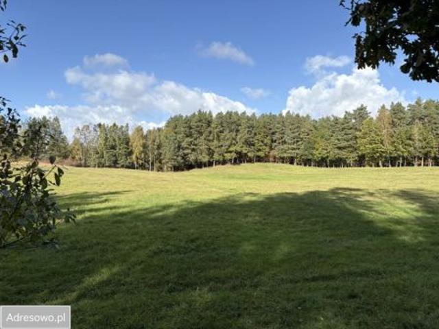Bezpośrednio, Dąbrówka Wielka, 49707 m² Działka
