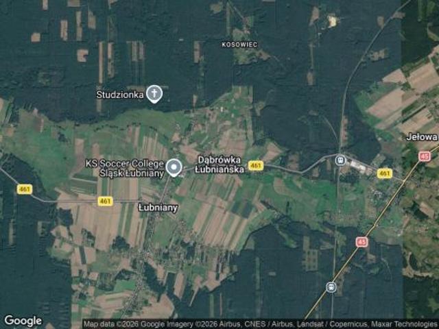 Bezpośrednio, Dąbrówka Łubniańska, ul. Leśna, 3215 m² Działka
