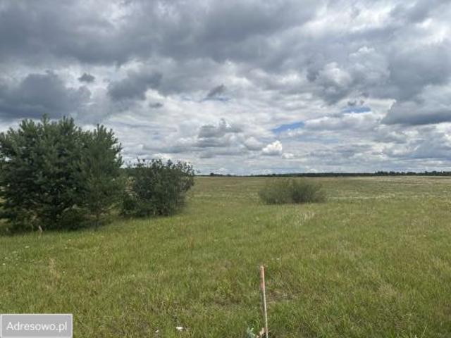 Bezpośrednio, Dołgie, 871 m² Działka