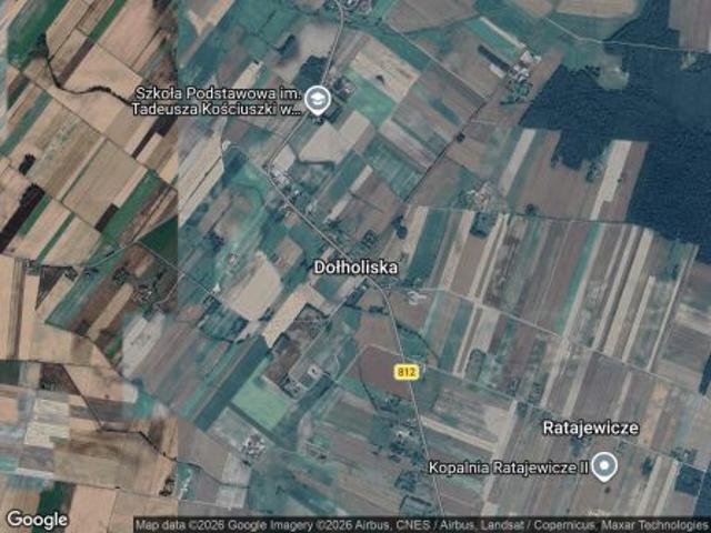 Bezpośrednio, Dołholiska, 21000 m² Działka
