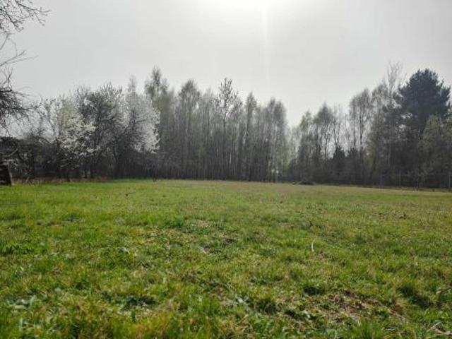 Bezpośrednio, Dobra Nowiny, 10758 m² Działka