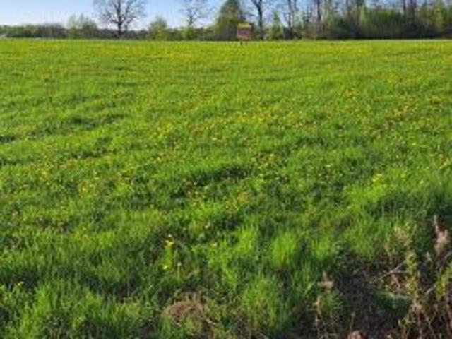 Bezpośrednio, Dobry, 1072 m² Działka