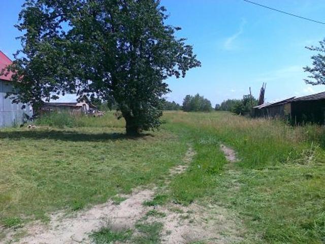 Bezpośrednio, Dobrzyń, 1600 m² Działka
