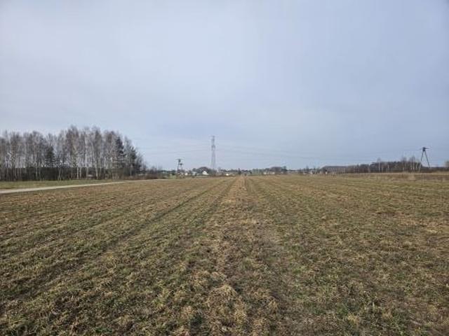 Bezpośrednio, Dobrzyniec, 3300 m² Działka