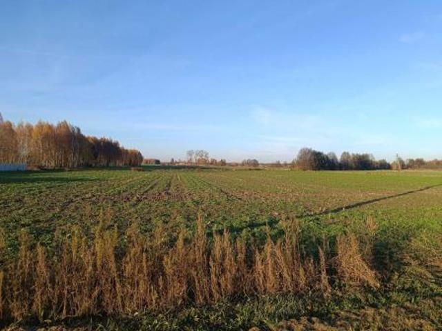 Bezpośrednio, Dokudów Pierwszy, 1140 m² Działka