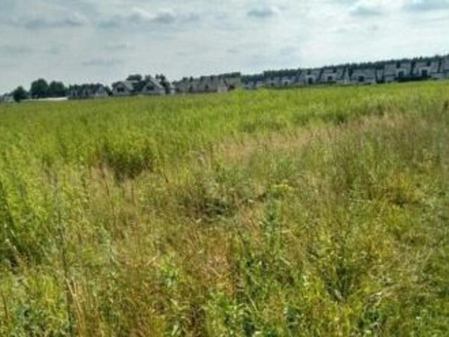Bezpośrednio, Domaszczyn, ul. Jaworowa, 20000 m² Działka