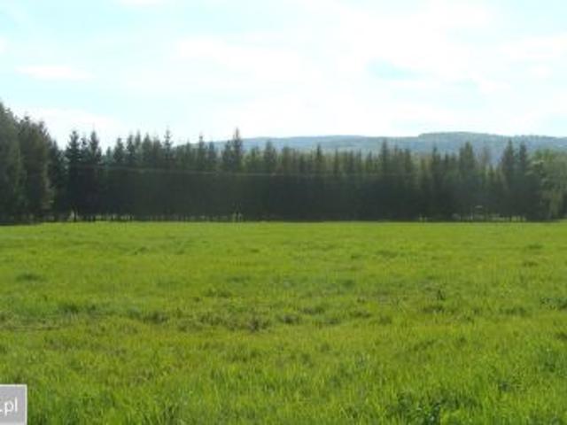 Bezpośrednio, Domaszków, ul. Kolejowa, 35000 m² Działka