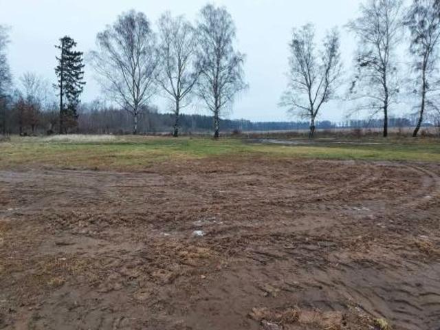 Bezpośrednio, Dorowo, 4822 m² Działka