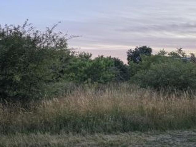 Bezpośrednio, Dalki, 974 m² Działka