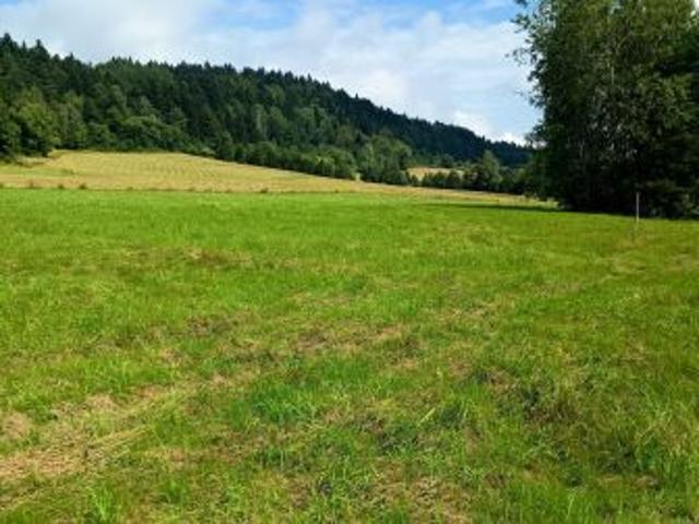 Bezpośrednio, Daliowa, 3000 m² Działka