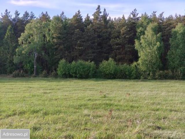 Bezpośrednio, Damnica, 1584 m² Działka