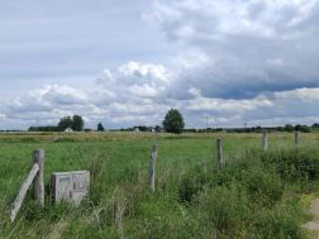 Bezpośrednio, Darłowo, ul. Wierzbowa, 1444 m² Działka