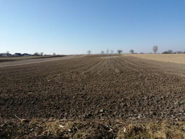 Bezpośrednio, Depułtycze Królewskie Kolonia, 20900 m² Działka