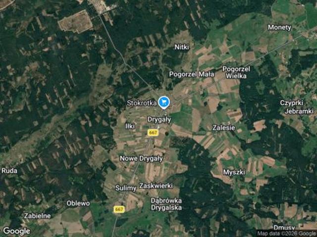 Bezpośrednio, Drygały, 65000 m² Działka
