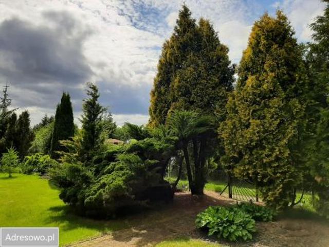 Bezpośrednio, Drzewce, 799 m² Działka