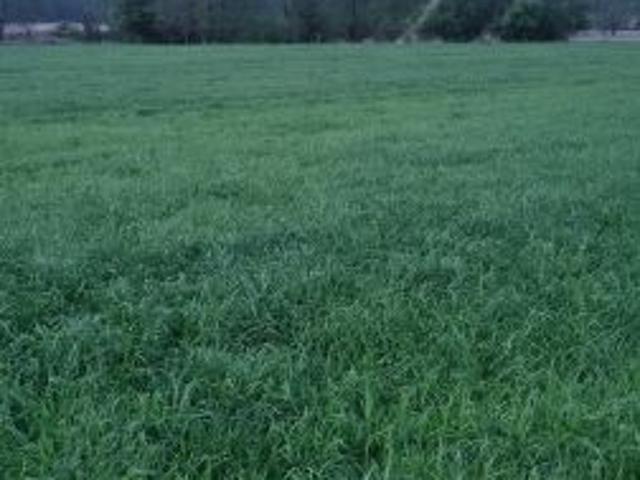 Bezpośrednio, Drążgów, 10300 m² Działka