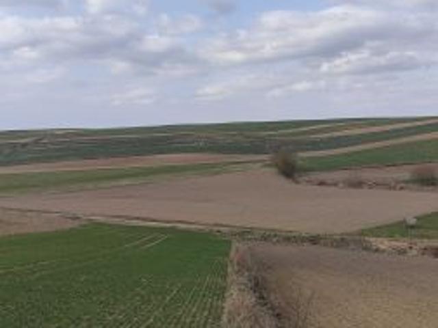 Bezpośrednio, Drohiczany, 6800 m² Działka