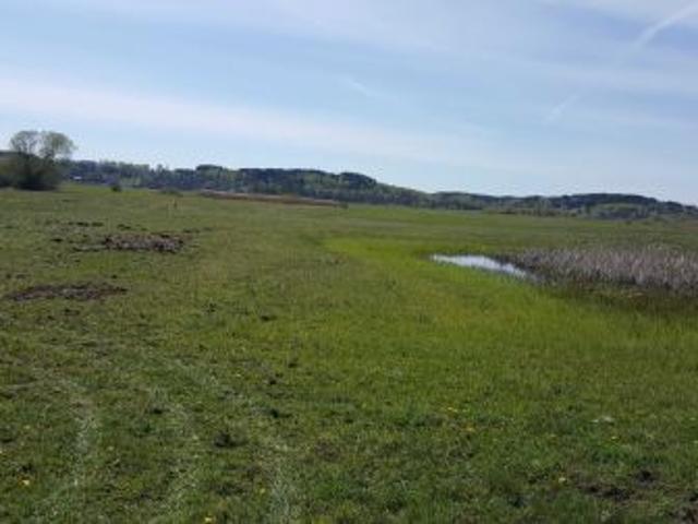 Bezpośrednio, Drozdowo, 6400 m² Działka
