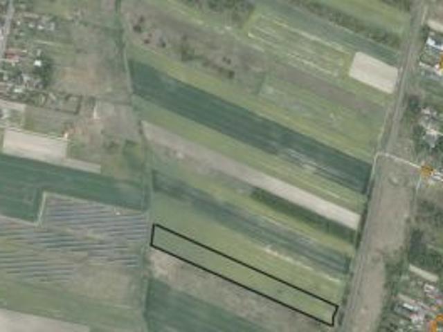 Bezpośrednio, Dubiny, 13790 m² Działka