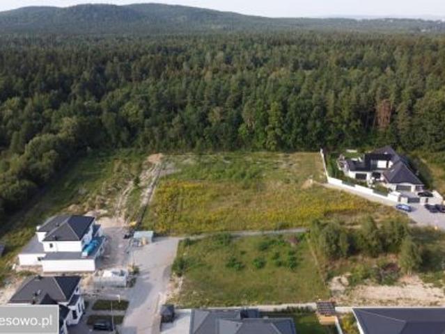 Bezpośrednio, Dyminy, ul. Cytrynowa, 1250 m² Działka