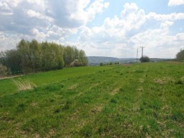 Bezpośrednio, Dynów, 2545 m² Działka