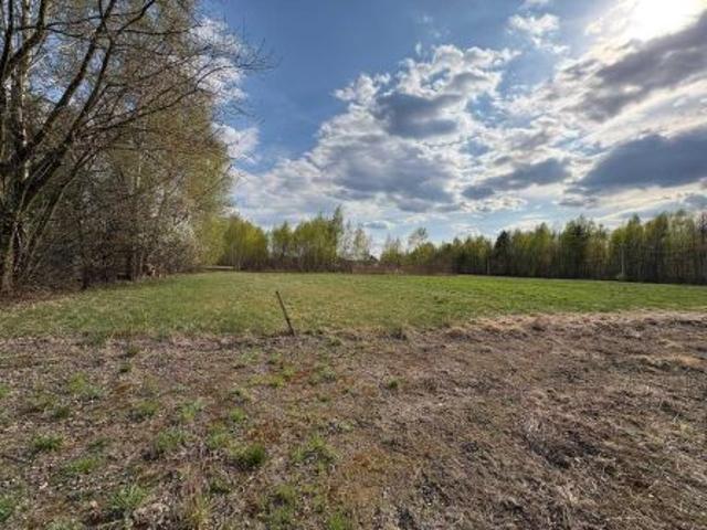 Bezpośrednio, Dziechciniec, 1001 m² Działka