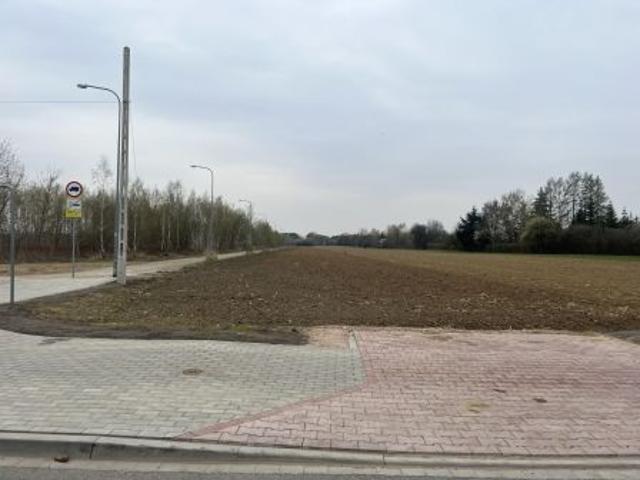 Bezpośrednio, Dziekanów Nowy, ul. Poziomkowa, 1543 m² Działka