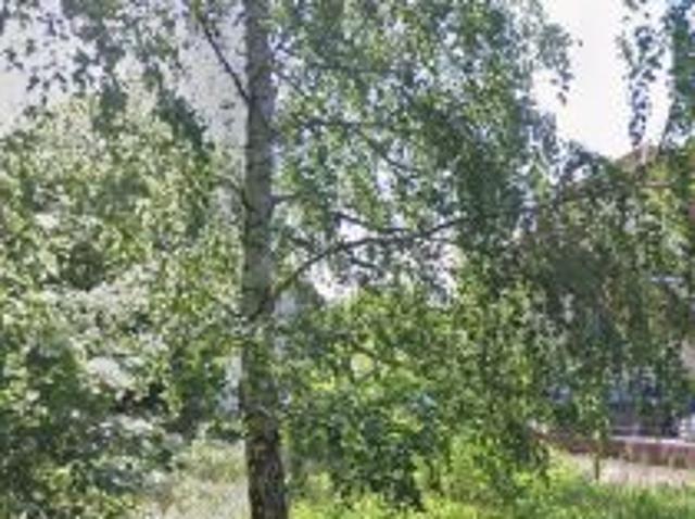 Bezpośrednio, Dziekanów Polski, ul. Stanisława Mikołajczyka, 1440 m² Działka