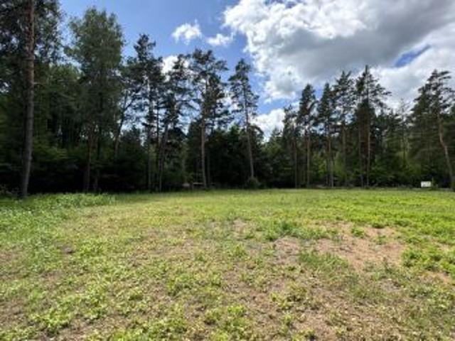 Bezpośrednio, Dzikie Kolonia, 4774 m² Działka