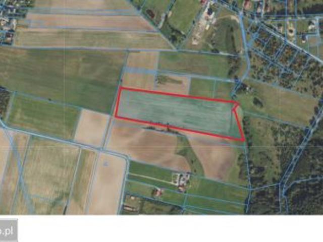 Bezpośrednio, Ełganowo, 34800 m² Działka