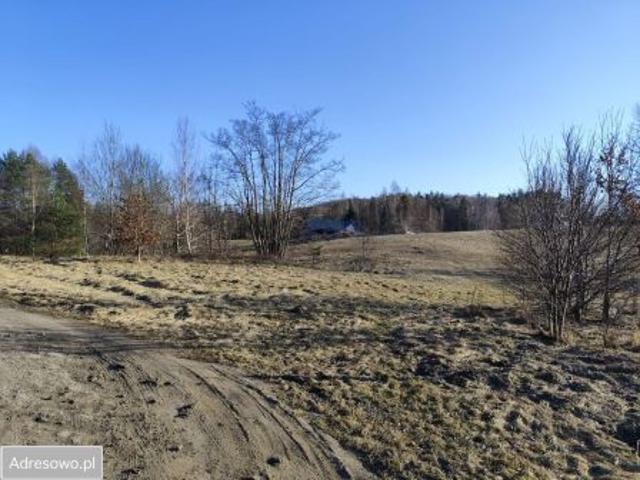 Bezpośrednio, Ełganowo, ul. Świerkowa, 3000 m² Działka