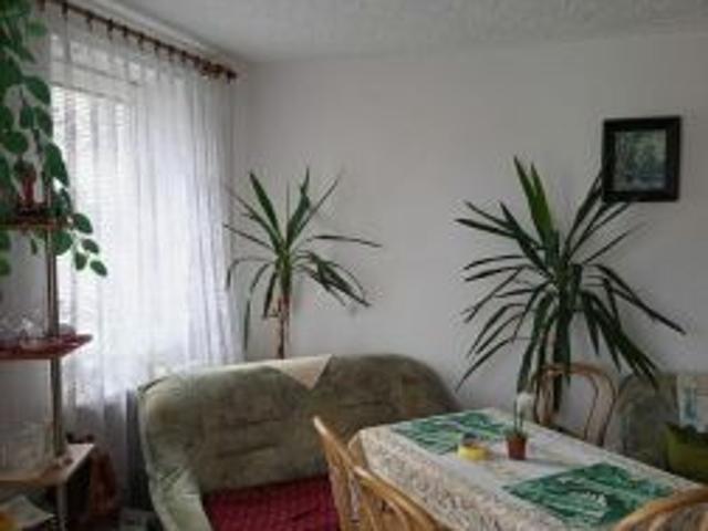 Bezpośrednio, Ełk, ul. Konieczki, 55 m² Mieszkanie
