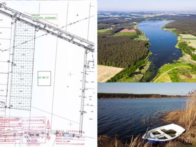 Bezpośrednio, Emilianów, Zosina, 9100 m² Działka