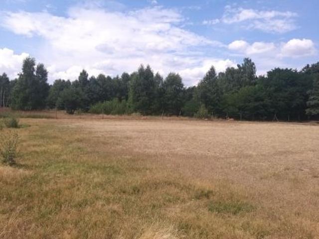 Bezpośrednio, Żelazo, 6000 m² Działka